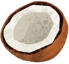 Icon of Coconut