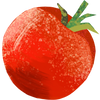 Icon of tomato